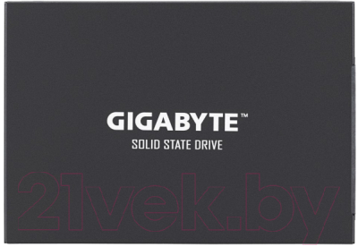 

SSD диск Gigabyte, 1TB (GP-GSTFS31100TNTD)