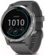 Миниатюра изображения товара Умные часы Garmin Vivoactive 4 / 010-02174-03 (серебристый/серый)