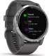 Миниатюра изображения товара Умные часы Garmin Vivoactive 4 / 010-02174-03 (серебристый/серый)