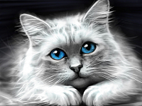 Набор алмазной вышивки Алмазная живопись Голубоглазая кошка / АЖ-1761 - 