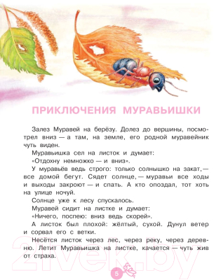 Книга АСТ Приключения Муравьишки. Сказки / 9785171125110 (Бианки В.В.)