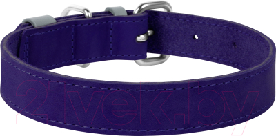 Ошейник Collar Waudog Classic 02399 (фиолетовый)