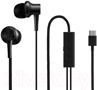 Наушники-гарнитура Xiaomi Mi ANC & Type-C In-Ear Earphones ZBW4382TY (черный)