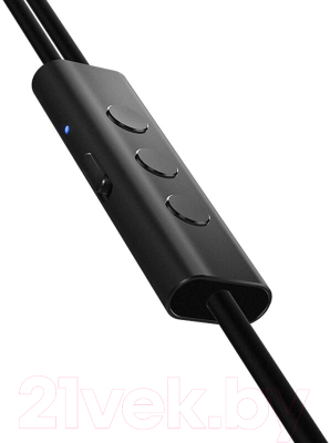 Наушники-гарнитура Xiaomi Mi ANC & Type-C In-Ear Earphones ZBW4382TY (черный)