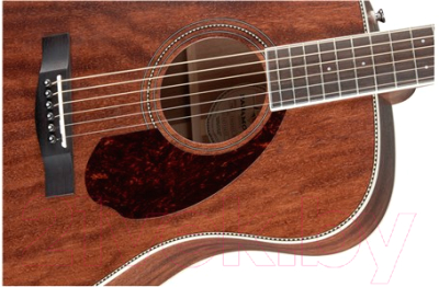 Акустическая гитара Fender PM-1 Dreadnought All Mahogany w/case OV