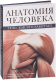 Книга АСТ Анатомия человека. Тело. Как это работает (Абрахамс П.) - 