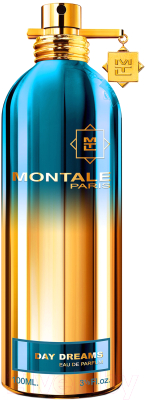 Парфюмерная вода Montale Day Dreams (100мл)