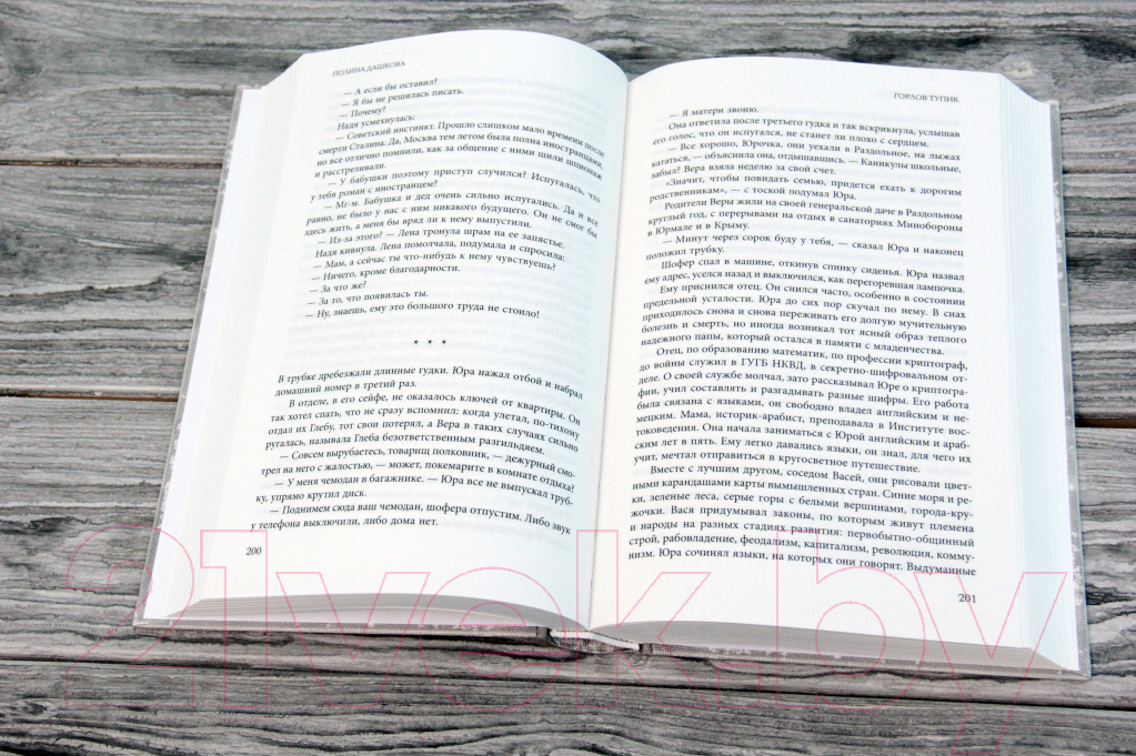 Художественная книга АСТ Горлов тупик (Дашкова П.) — фото 4