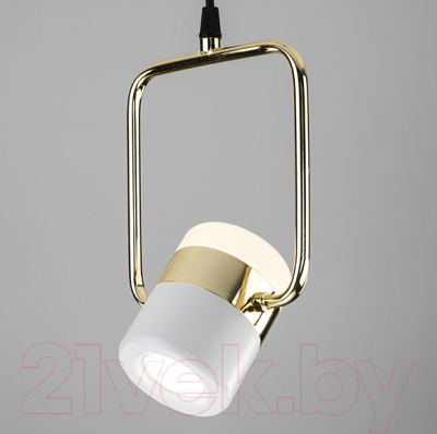 Потолочный светильник Elektrostandard 50165/1 (золото/белый)
