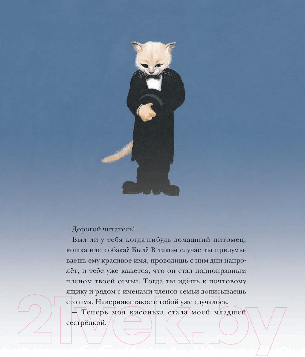 Художественная книга АСТ Кошачья школа. Тайна хрустальной пещеры (Ким Ч.) — фото 5