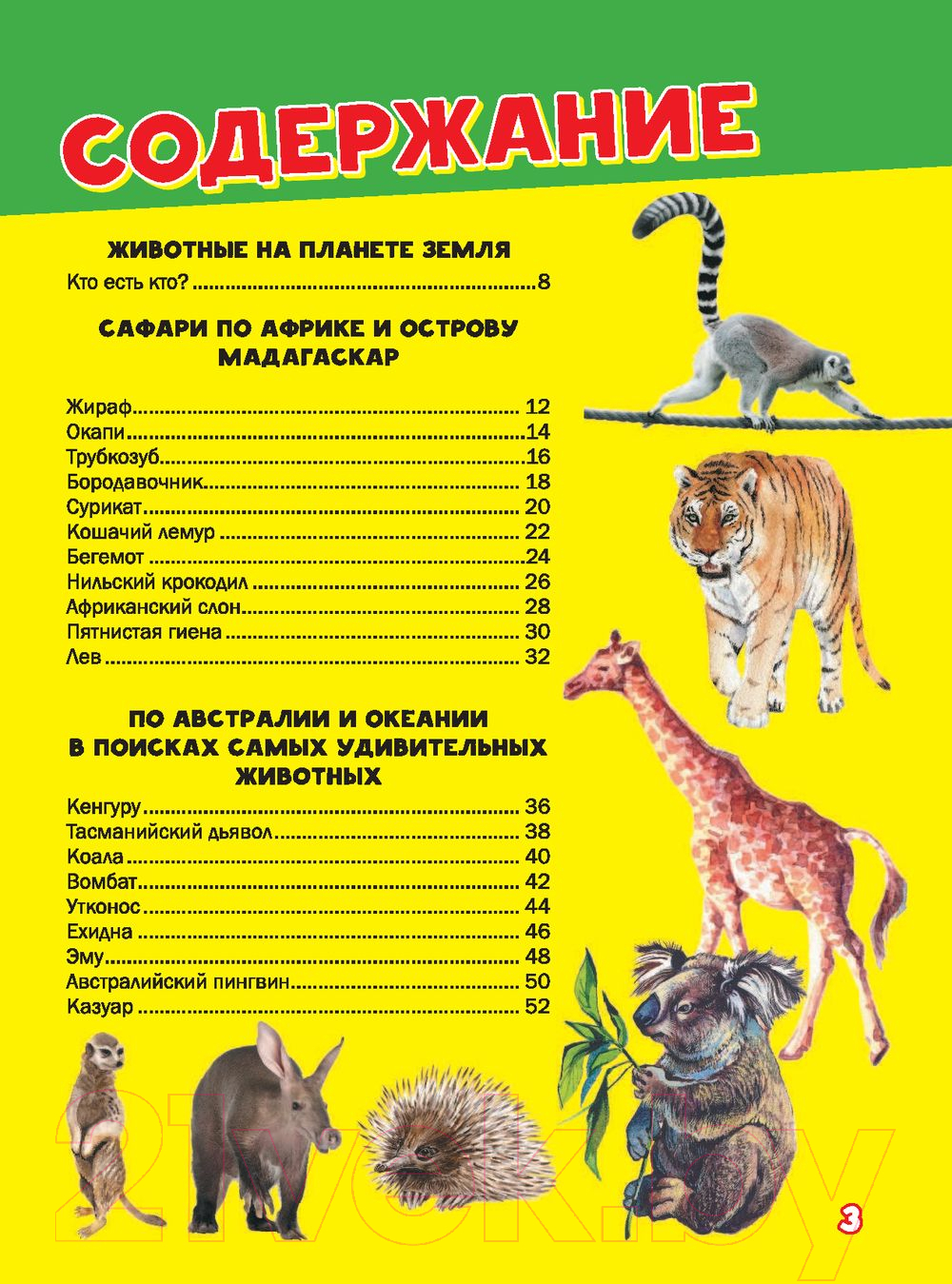 Энциклопедия АСТ Моя первая большая книга о животных (Вайткене Л., Ермакович Д.) — фото 3
