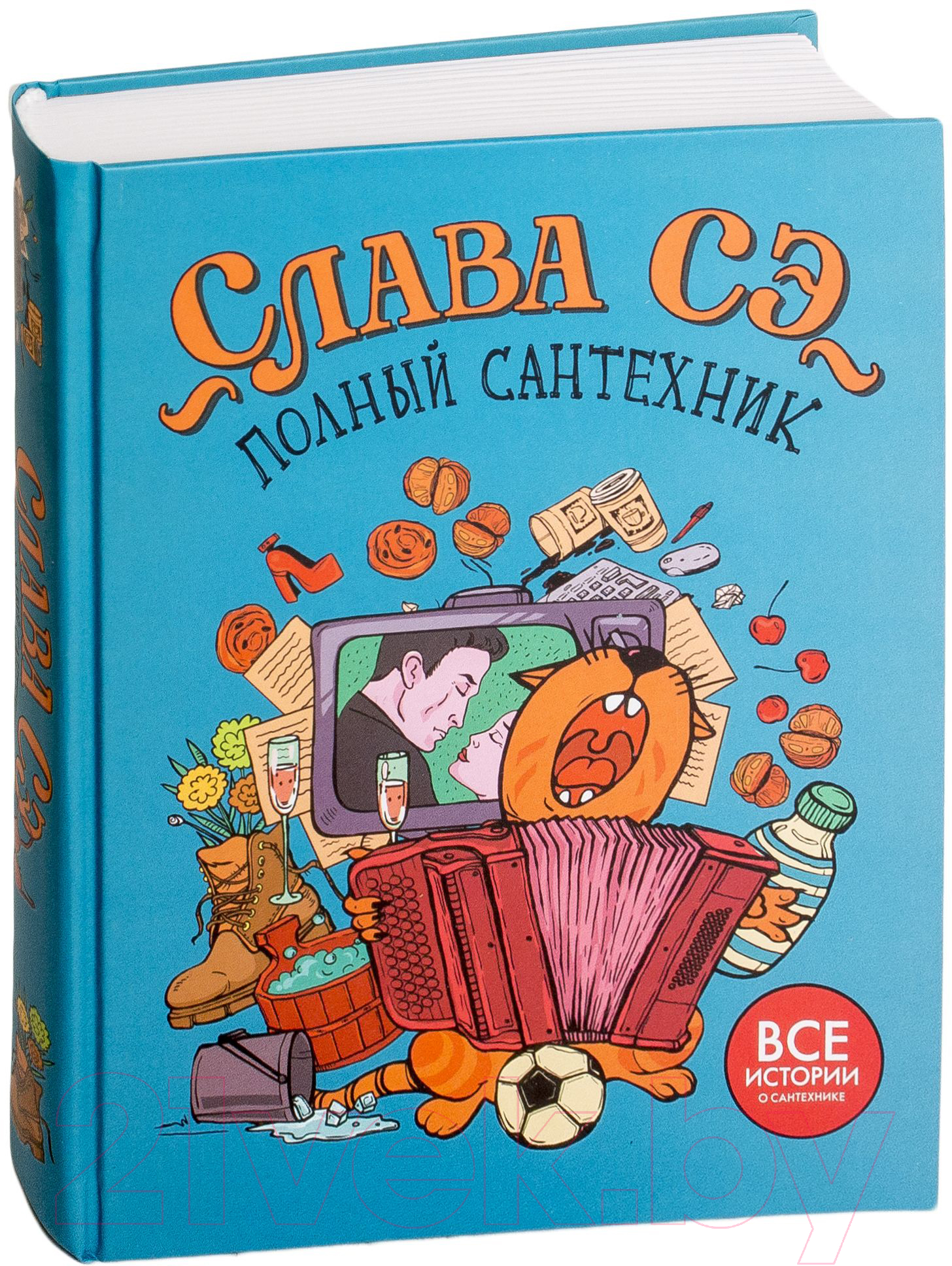 Художественная книга АСТ Полный сантехник (Сэ С.) — фото 2