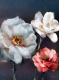 Картина Orlix Цветы шиповника 1 / CA-12520 - 