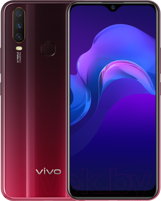 Смартфон Vivo Y12 3GB/64GB (красный бургунди)