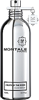 Парфюмерная вода Montale Fruits of the Musk (100мл) - 