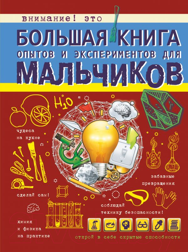 Книга АСТ Большая книга опытов и экспериментов для мальчиков (Вайткене Л.)