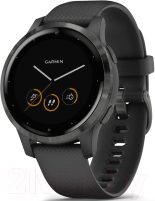Умные часы Garmin Vivoactive 4s / 010-02172-13 (черный/серый)