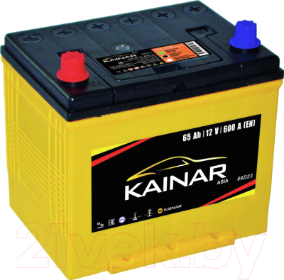 Автомобильный аккумулятор Kainar Asia JL+ / 062 22 40 02 0131 08 11 0 R (65 А/ч)