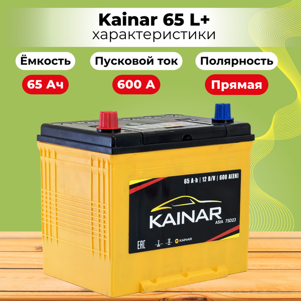 Автомобильный аккумулятор Kainar Asia JL+ / 062 22 40 02 0131 08 11 0 R (65 А/ч)