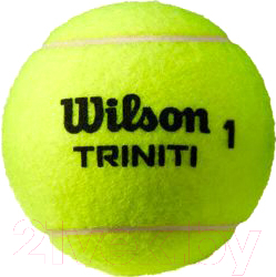Изображение товара Набор теннисных мячей Wilson Triniti Tball 4 Ball Can / WRT115200