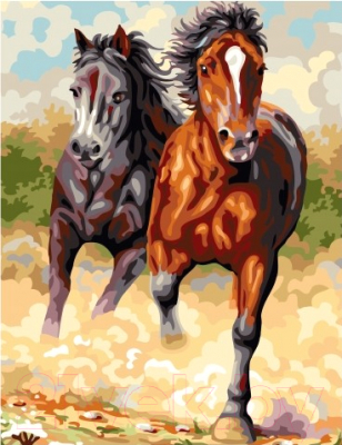 

Картина по номерам Picasso, Галоп (PC4050529)