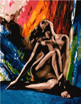Картина по номерам Picasso Сила эмоции (PC4050547)