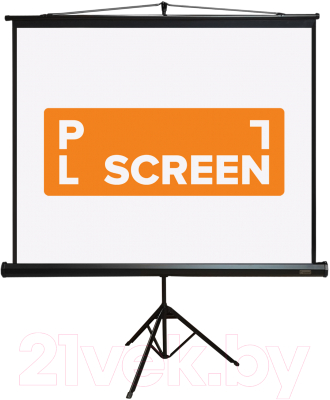Проекционный экран PL Magna 244x183см MW / TRM-NTSC-120D