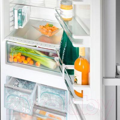 Холодильник с морозильником Liebherr CNPes 4868