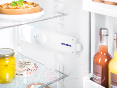 Холодильник с морозильником Liebherr CTPag 2121