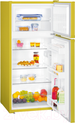 Холодильник с морозильником Liebherr CTPag 2121