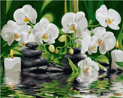 Картина по номерам Picasso Орхидеи у ручья (PC4050567)