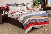 

Комплект постельного белья, Стиль Стандарт 1.5 сп. 50x70 / 7087-1+7757-3