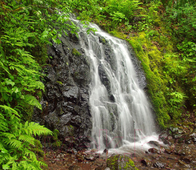 Фотообои листовые Vimala Живой водопад (260x300)