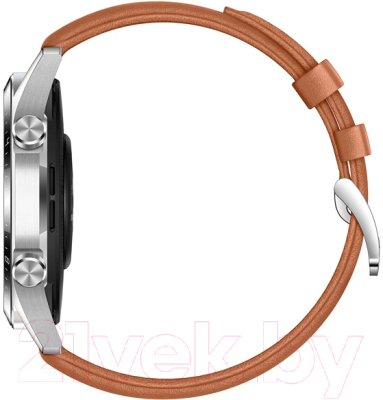 Умные часы Huawei Watch GT 2 LTN-B19 46mm (коричневый)