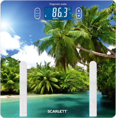 Напольные весы электронные Scarlett SC-BS33ED12 (Palms)