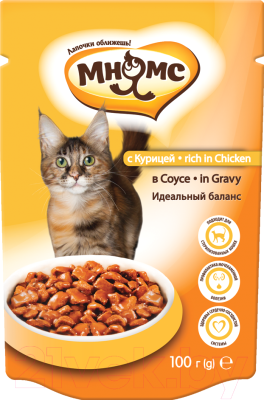 Влажный корм для кошек Мнямс Курица в соусе / 702280 (100г)