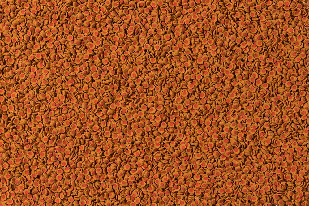Корм для рыб Tetra Cory ShrimpWafers (100мл) — фото 2