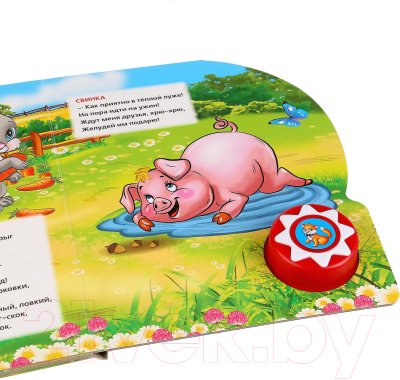 Изображение товара Музыкальная книга Умка 10 песенок. Домашние животные / 9785506027676 (М. Дружинина)