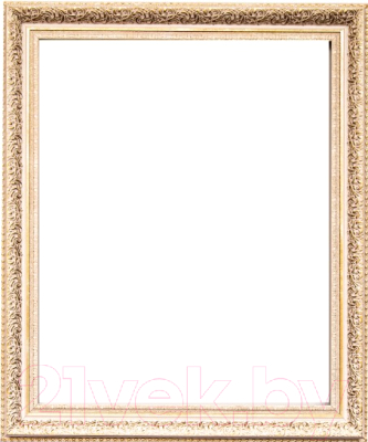 Рамка Picasso PL 5321-3 (50x40)
