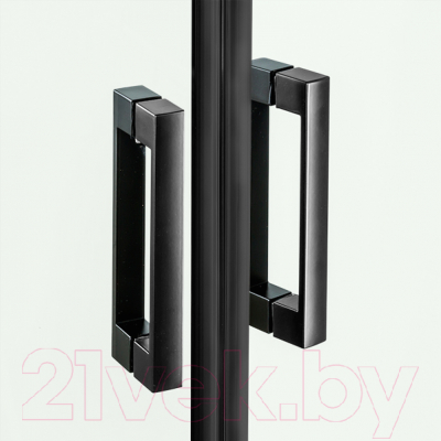Душевая дверь New Trendy New Renoma/New Soleo PP-0010 (черный)