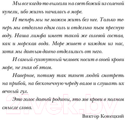 Художественная книга АСТ Когда я вернусь, будь дома (Сафарли Э.) — фото 6