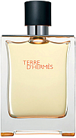 Туалетная вода Hermes Terre d'Hermes (100мл) - 