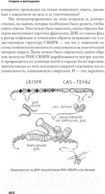 Книга АСТ Трещина в мироздании (Даудна Д., Стернберг С.)