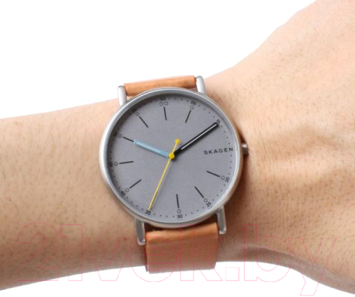 Часы наручные женские Skagen SKW6373