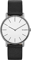 

Часы наручные мужские Skagen, SKW6419