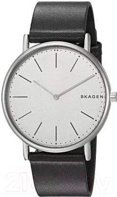 Часы наручные мужские Skagen SKW6419