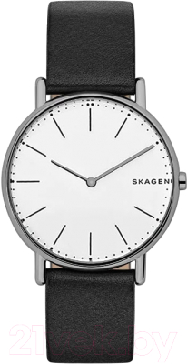 Часы наручные мужские Skagen SKW6419