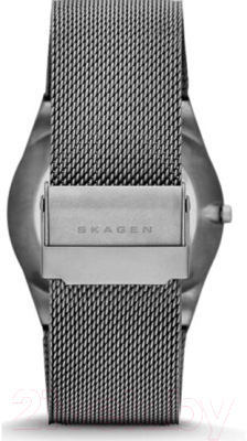 Часы наручные мужские Skagen SKW6078