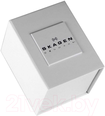 Часы наручные мужские Skagen SKW6237