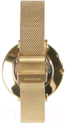 Часы наручные женские Skagen SKW1104